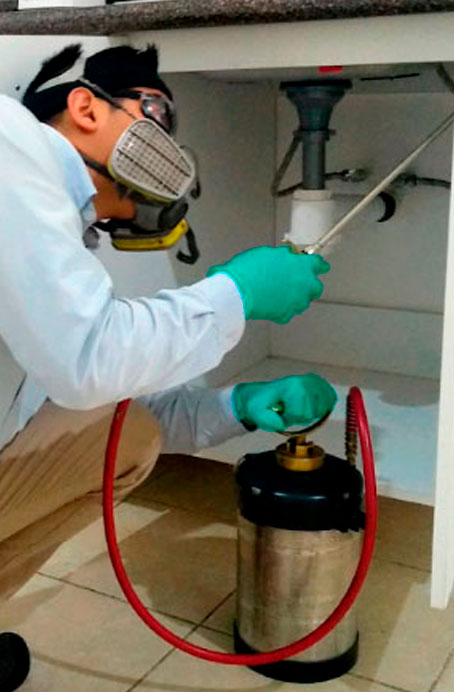 Fumigación y control de plagas en Querétaro